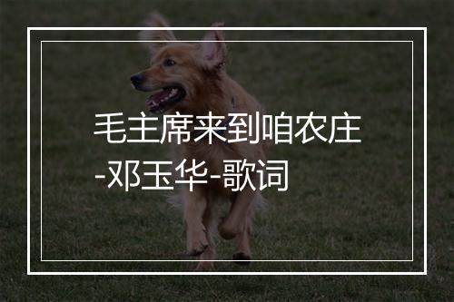 毛主席来到咱农庄-邓玉华-歌词