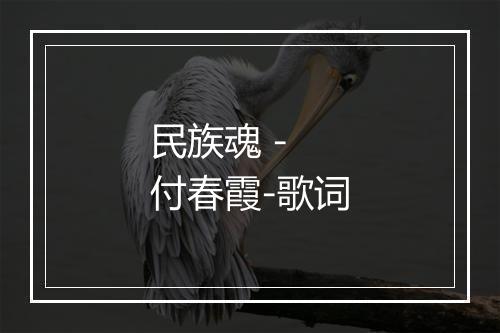 民族魂 - 付春霞-歌词