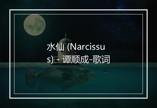 水仙 (Narcissus) - 谭顺成-歌词