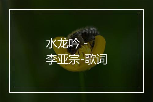 水龙吟 - 李亚宗-歌词