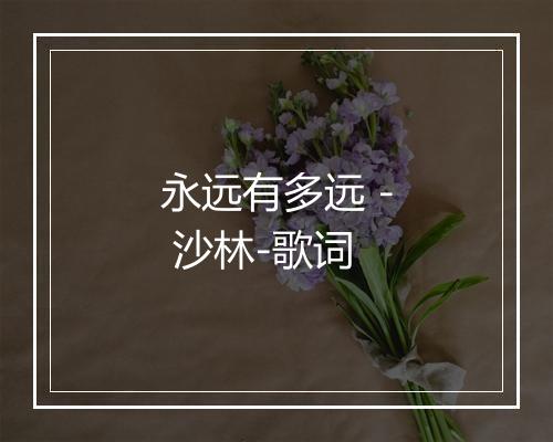 永远有多远 - 沙林-歌词