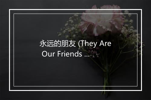 永远的朋友 (They Are Our Friends Forever) - 庞龙-歌词