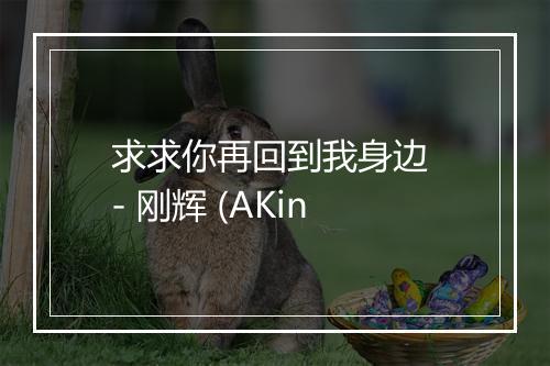 求求你再回到我身边 - 刚辉 (AKin