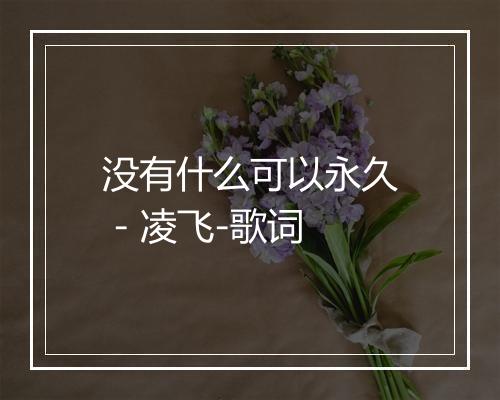 没有什么可以永久 - 凌飞-歌词