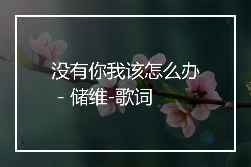 没有你我该怎么办 - 储维-歌词