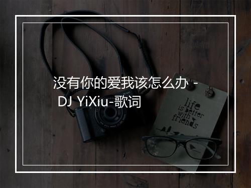 没有你的爱我该怎么办 - DJ YiXiu-歌词