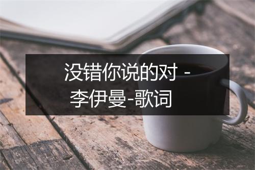 没错你说的对 - 李伊曼-歌词