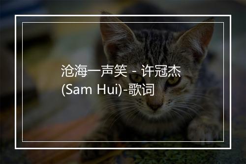 沧海一声笑 - 许冠杰 (Sam Hui)-歌词