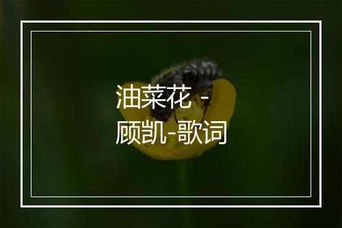 油菜花 - 顾凯-歌词