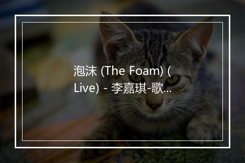 泡沫 (The Foam) (Live) - 李嘉琪-歌词