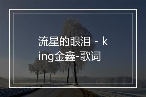 流星的眼泪 - king金鑫-歌词