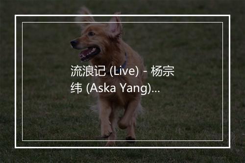 流浪记 (Live) - 杨宗纬 (Aska Yang)-歌词