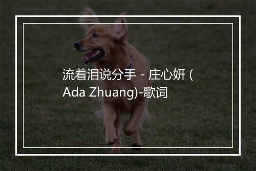 流着泪说分手 - 庄心妍 (Ada Zhuang)-歌词