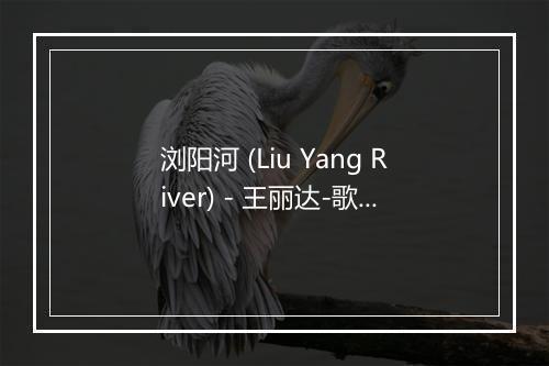 浏阳河 (Liu Yang River) - 王丽达-歌词