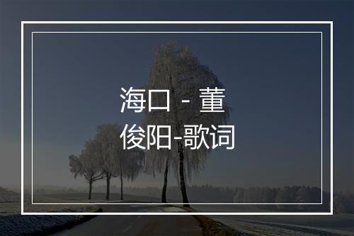 海口 - 董俊阳-歌词