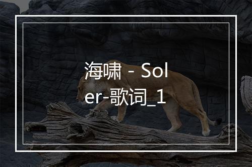 海啸 - Soler-歌词_1