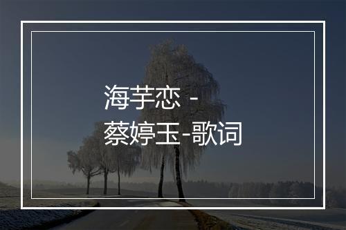 海芋恋 - 蔡婷玉-歌词