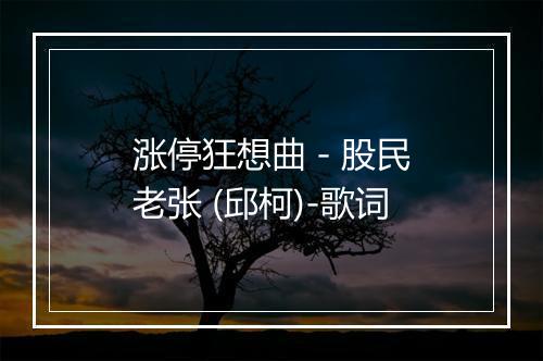 涨停狂想曲 - 股民老张 (邱柯)-歌词