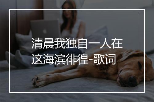 清晨我独自一人在这海滨徘徨-歌词