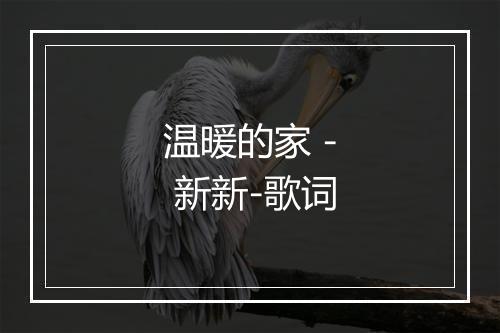 温暖的家 - 新新-歌词