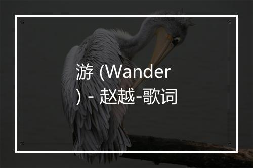 游 (Wander) - 赵越-歌词