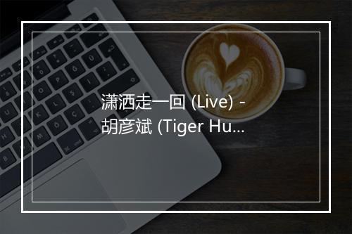 潇洒走一回 (Live) - 胡彦斌 (Tiger Hu)-歌词