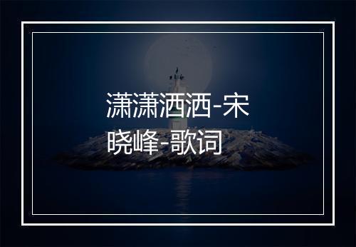 潇潇洒洒-宋晓峰-歌词