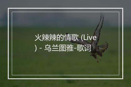 火辣辣的情歌 (Live) - 乌兰图雅-歌词