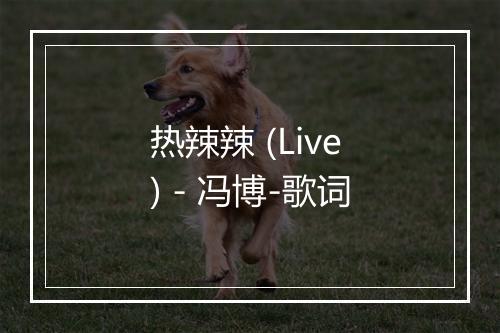 热辣辣 (Live) - 冯博-歌词