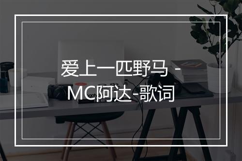 爱上一匹野马 - MC阿达-歌词