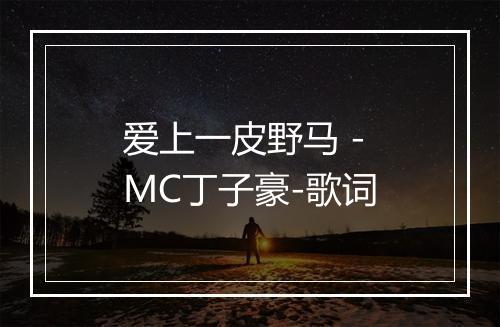 爱上一皮野马 - MC丁子豪-歌词