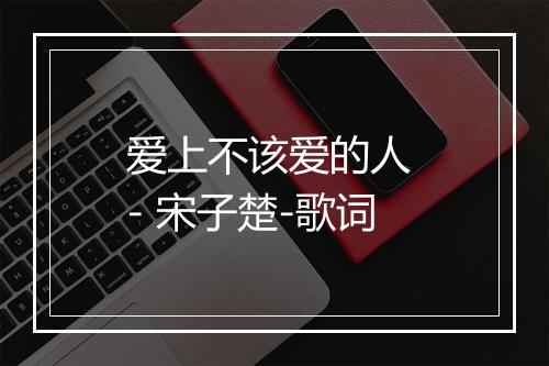 爱上不该爱的人 - 宋子楚-歌词