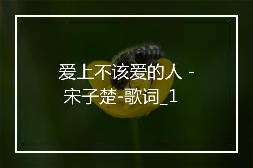 爱上不该爱的人 - 宋子楚-歌词_1