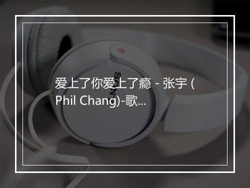 爱上了你爱上了瘾 - 张宇 (Phil Chang)-歌词