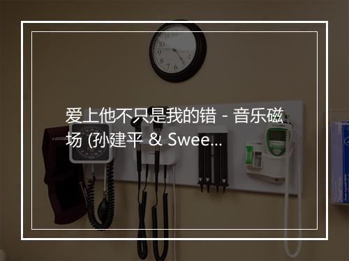 爱上他不只是我的错 - 音乐磁场 (孙建平 & Sweet Style)-歌词