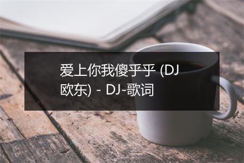 爱上你我傻乎乎 (DJ 欧东) - DJ-歌词