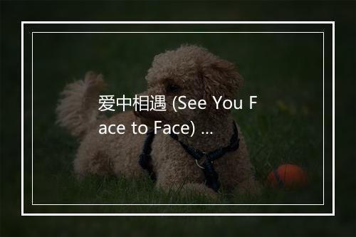 爱中相遇 (See You Face to Face) - 赞美之泉音乐事工-歌词