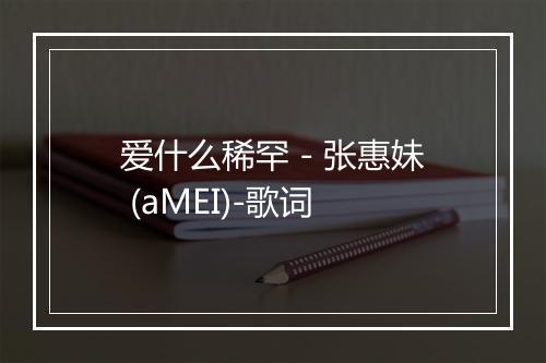 爱什么稀罕 - 张惠妹 (aMEI)-歌词