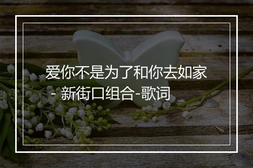 爱你不是为了和你去如家 - 新街口组合-歌词