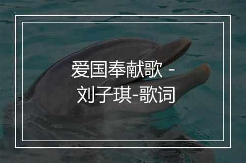 爱国奉献歌 - 刘子琪-歌词