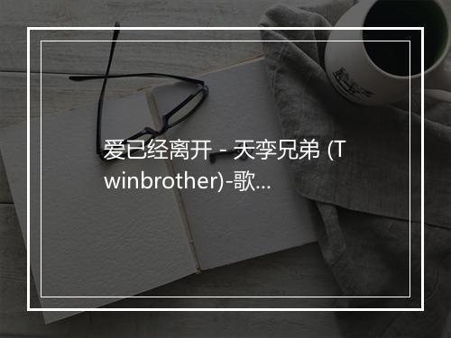 爱已经离开 - 天孪兄弟 (Twinbrother)-歌词