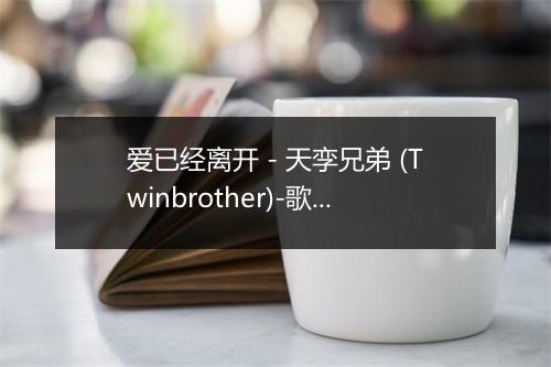 爱已经离开 - 天孪兄弟 (Twinbrother)-歌词_1