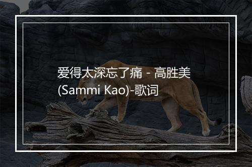 爱得太深忘了痛 - 高胜美 (Sammi Kao)-歌词