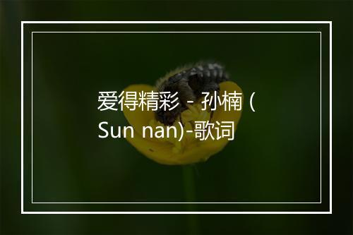 爱得精彩 - 孙楠 (Sun nan)-歌词