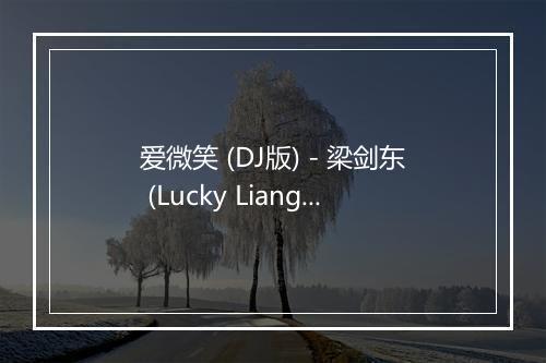 爱微笑 (DJ版) - 梁剑东 (Lucky Liang)-歌词