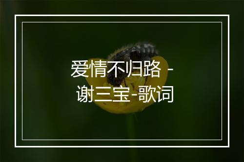 爱情不归路 - 谢三宝-歌词