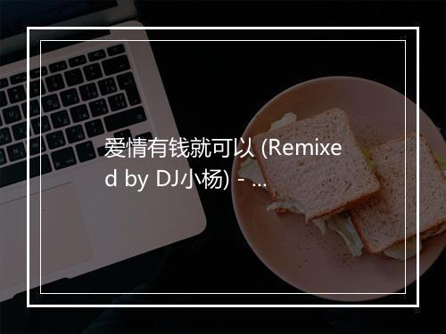 爱情有钱就可以 (Remixed by DJ小杨) - 过江龙-歌词