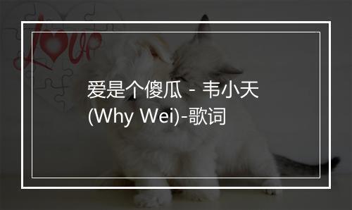 爱是个傻瓜 - 韦小天 (Why Wei)-歌词