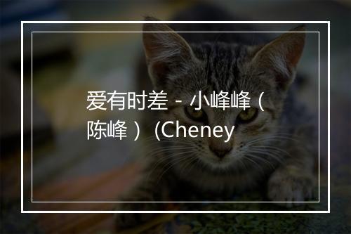 爱有时差 - 小峰峰（陈峰） (Cheney