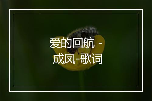 爱的回航 - 成凤-歌词